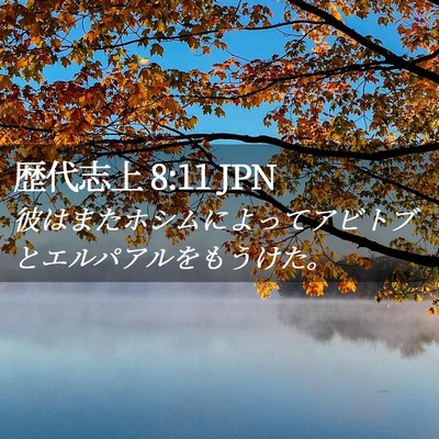 Picture 02 - 歴代志上 8:11 JPN - 彼はまたホシムによってアビトブと - Bible Verse Picture