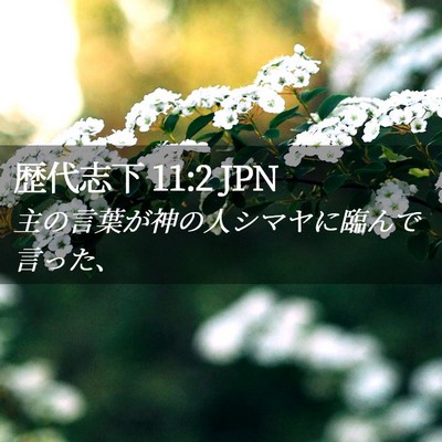 Picture 02 - 歴代志下 11:2 JPN - 主の言葉が神の人シマヤに臨んで言 - Bible Verse Picture