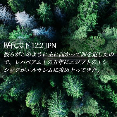 Picture 02 - 歴代志下 12:2 JPN - 彼らがこのように主に向かって罪を - Bible Verse Picture