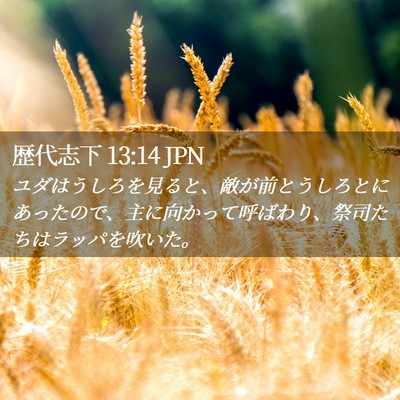 Picture 02 - 歴代志下 13:14 JPN - ユダはうしろを見ると、敵が前とう - Bible Verse Picture