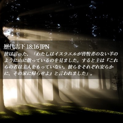 Picture 02 - 歴代志下 18:16 JPN - 彼は言った、「わたしはイスラエル - Bible Verse Picture