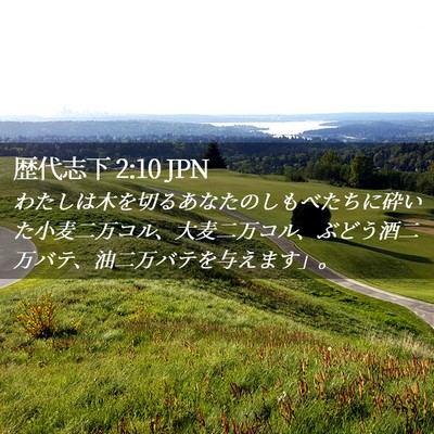 Picture 02 - 歴代志下 2:10 JPN - わたしは木を切るあなたのしもべた - Bible Verse Picture