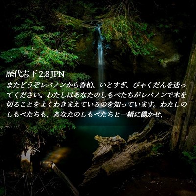 Picture 02 - 歴代志下 2:8 JPN - またどうぞレバノンから香柏、いと - Bible Verse Picture