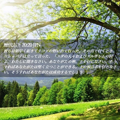 Picture 02 - 歴代志下 20:20 JPN - 彼らは朝早く起きてテコアの野に出 - Bible Verse Picture