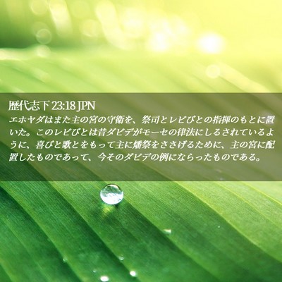 Picture 02 - 歴代志下 23:18 JPN - エホヤダはまた主の宮の守衛を、祭 - Bible Verse Picture