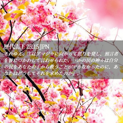 Picture 02 - 歴代志下 25:15 JPN - それゆえ、主はアマジヤに向かって - Bible Verse Picture