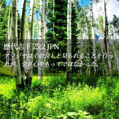 Picture 02 - 歴代志下 25:2 JPN - アマジヤは主の良しと見られること - Bible Verse Picture
