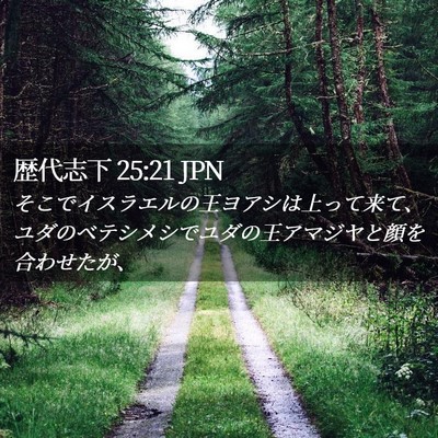 Picture 02 - 歴代志下 25:21 JPN - そこでイスラエルの王ヨアシは上っ - Bible Verse Picture