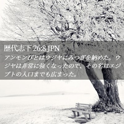 Picture 02 - 歴代志下 26:8 JPN - アンモンびとはウジヤにみつぎを納 - Bible Verse Picture