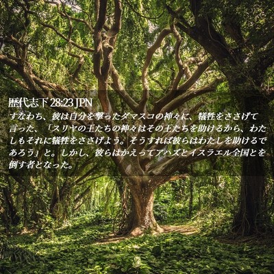 Picture 02 - 歴代志下 28:23 JPN - すなわち、彼は自分を撃ったダマス - Bible Verse Picture