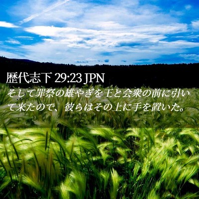 Picture 02 - 歴代志下 29:23 JPN - そして罪祭の雄やぎを王と会衆の前 - Bible Verse Picture