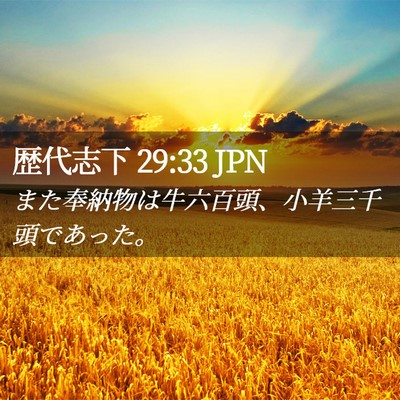 Picture 02 - 歴代志下 29:33 JPN - また奉納物は牛六百頭、小羊三千頭 - Bible Verse Picture