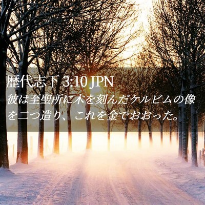 Picture 02 - 歴代志下 3:10 JPN - 彼は至聖所に木を刻んだケルビムの - Bible Verse Picture