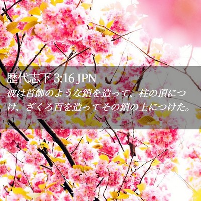 Picture 02 - 歴代志下 3:16 JPN - 彼は首飾のような鎖を造って、柱の - Bible Verse Picture