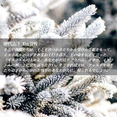 Picture 02 - 歴代志下 30:6 JPN - そこで飛脚たちは、王とそのつかさ - Bible Verse Picture