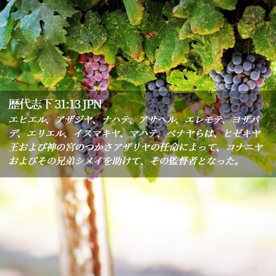 Picture 02 - 歴代志下 31:13 JPN - エヒエル、アザジヤ、ナハテ、アサ - Bible Verse Picture
