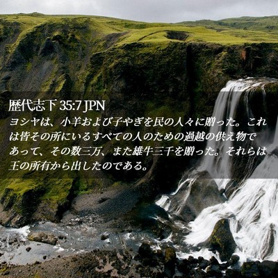 Picture 02 - 歴代志下 35:7 JPN - ヨシヤは、小羊および子やぎを民の - Bible Verse Picture