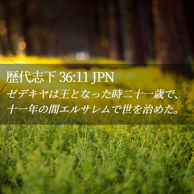 Picture 02 - 歴代志下 36:11 JPN - ゼデキヤは王となった時二十一歳で - Bible Verse Picture