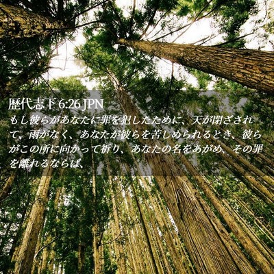 Picture 02 - 歴代志下 6:26 JPN - もし彼らがあなたに罪を犯したため - Bible Verse Picture