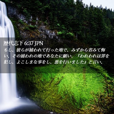 Picture 02 - 歴代志下 6:37 JPN - もし、彼らが捕われて行った地で、 - Bible Verse Picture