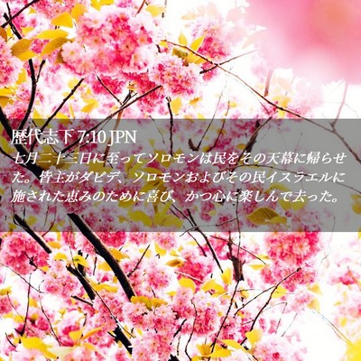 Picture 02 - 歴代志下 7:10 JPN - 七月二十三日に至ってソロモンは民 - Bible Verse Picture