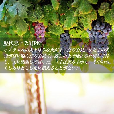Picture 02 - 歴代志下 7:3 JPN - イスラエルの人々はみな火が下った - Bible Verse Picture