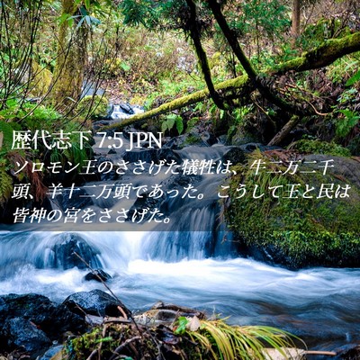 Picture 02 - 歴代志下 7:5 JPN - ソロモン王のささげた犠牲は、牛二 - Bible Verse Picture