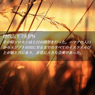 Picture 02 - 歴代志下 7:8 JPN - その時ソロモンは七日の間祭を行っ - Bible Verse Picture