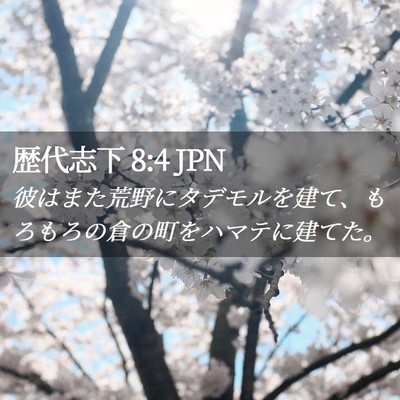 Picture 02 - 歴代志下 8:4 JPN - 彼はまた荒野にタデモルを建て、も - Bible Verse Picture