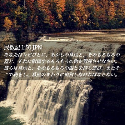 Picture 02 - 民数記 1:50 JPN - あなたはレビびとに、あかしの幕屋 - Bible Verse Picture