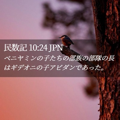 Picture 02 - 民数記 10:24 JPN - ベニヤミンの子たちの部族の部隊の - Bible Verse Picture