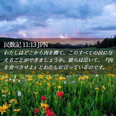 Picture 02 - 民数記 11:13 JPN - わたしはどこから肉を獲て、このす - Bible Verse Picture