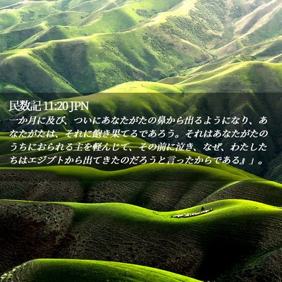 Picture 02 - 民数記 11:20 JPN - 一か月に及び、ついにあなたがたの - Bible Verse Picture