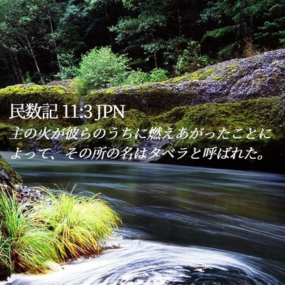 Picture 02 - 民数記 11:3 JPN - 主の火が彼らのうちに燃えあがった - Bible Verse Picture