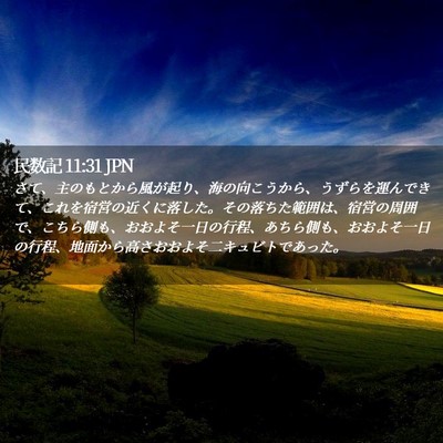 Picture 02 - 民数記 11:31 JPN - さて、主のもとから風が起り、海の - Bible Verse Picture