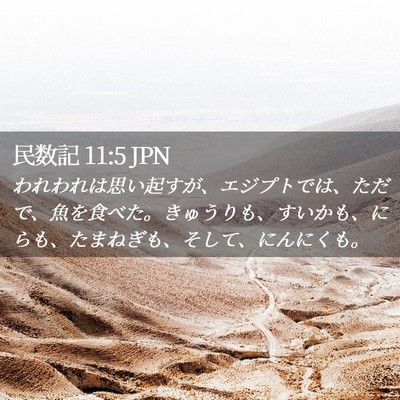 Picture 02 - 民数記 11:5 JPN - われわれは思い起すが、エジプトで - Bible Verse Picture