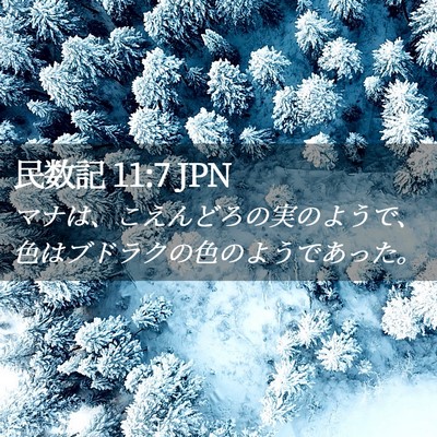 Picture 02 - 民数記 11:7 JPN - マナは、こえんどろの実のようで、 - Bible Verse Picture