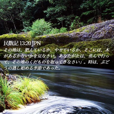 Picture 02 - 民数記 13:20 JPN - その地は、肥えているか、やせてい - Bible Verse Picture