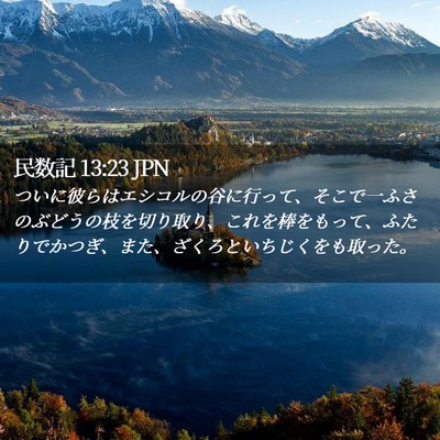 Picture 02 - 民数記 13:23 JPN - ついに彼らはエシコルの谷に行って - Bible Verse Picture
