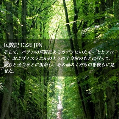 Picture 02 - 民数記 13:26 JPN - そして、パランの荒野にあるカデシ - Bible Verse Picture