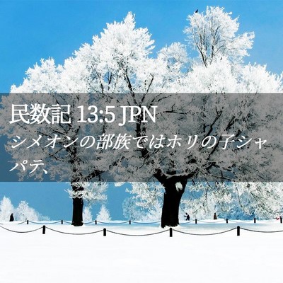 Picture 02 - 民数記 13:5 JPN - シメオンの部族ではホリの子シャパ - Bible Verse Picture