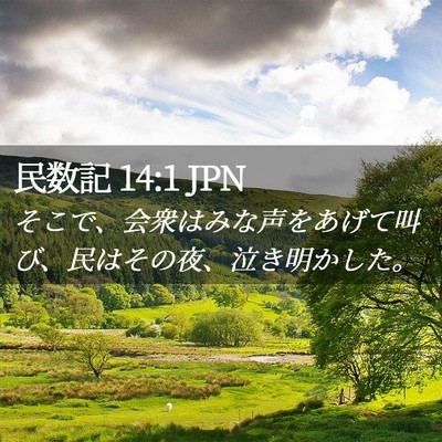 Picture 02 - 民数記 14:1 JPN - そこで、会衆はみな声をあげて叫び - Bible Verse Picture