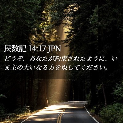 Picture 02 - 民数記 14:17 JPN - どうぞ、あなたが約束されたように - Bible Verse Picture