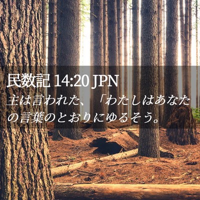 Picture 02 - 民数記 14:20 JPN - 主は言われた、「わたしはあなたの - Bible Verse Picture