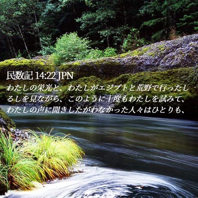 Picture 02 - 民数記 14:22 JPN - わたしの栄光と、わたしがエジプト - Bible Verse Picture