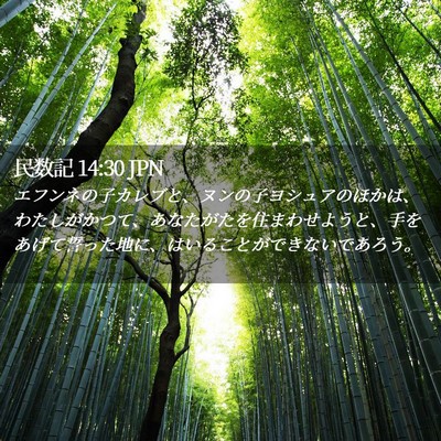 Picture 02 - 民数記 14:30 JPN - エフンネの子カレブと、ヌンの子ヨ - Bible Verse Picture