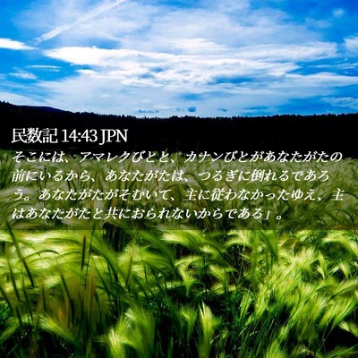 Picture 02 - 民数記 14:43 JPN - そこには、アマレクびとと、カナン - Bible Verse Picture