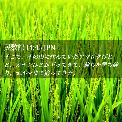 Picture 02 - 民数記 14:45 JPN - そこで、その山に住んでいたアマレ - Bible Verse Picture