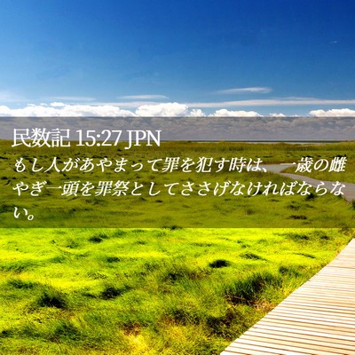 Picture 02 - 民数記 15:27 JPN - もし人があやまって罪を犯す時は、 - Bible Verse Picture