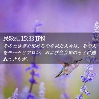 Picture 02 - 民数記 15:33 JPN - そのたきぎを集めるのを見た人々は - Bible Verse Picture